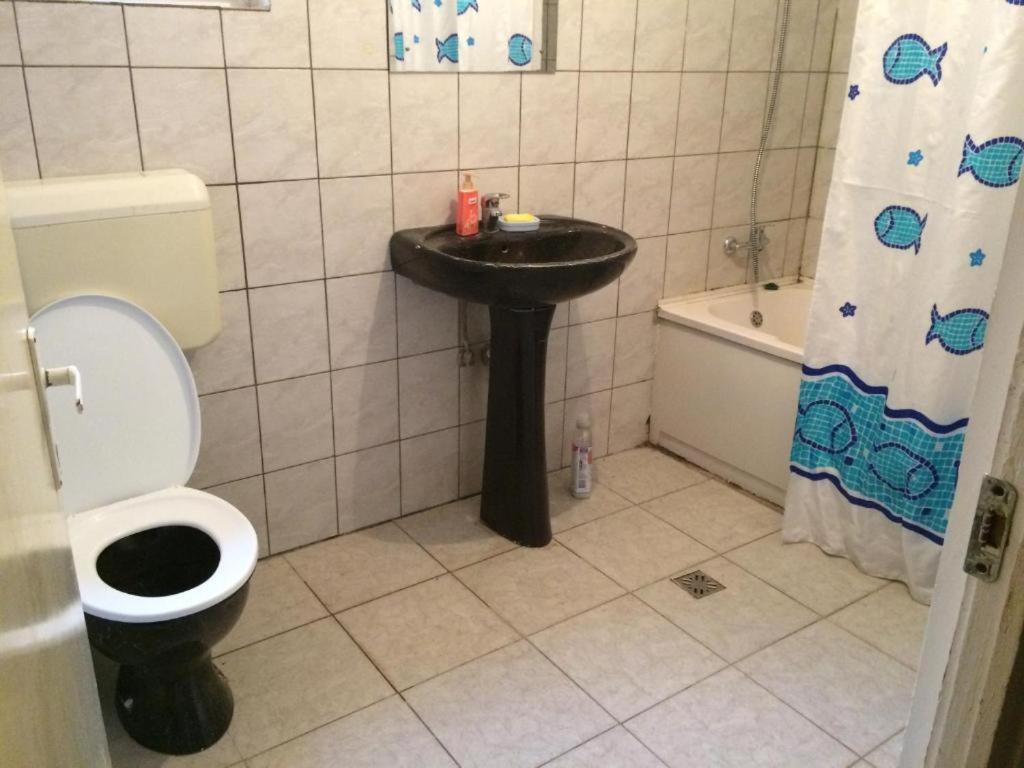 Casa Adrian Camere Centru Vechi براشوف المظهر الخارجي الصورة