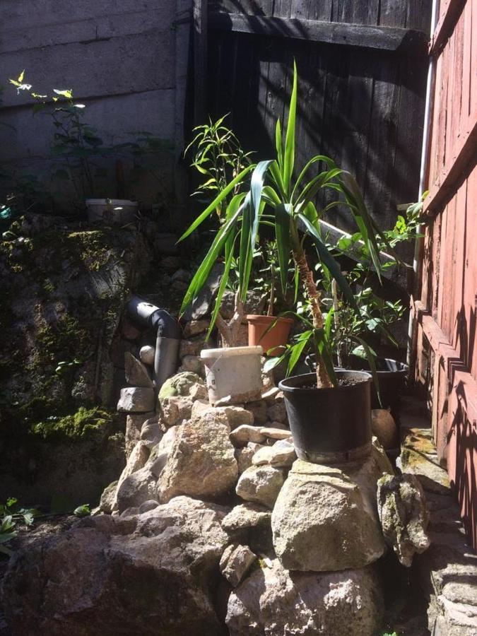 Casa Adrian Camere Centru Vechi براشوف المظهر الخارجي الصورة
